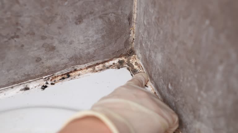 Best Water Damage & Mold Remediation  in Owasso, OK